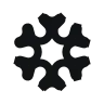 Snowflake icon